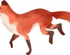 Watercolour Fox