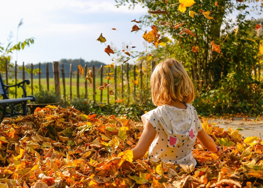 Child playing in leaves