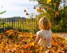 Child playing in leaves